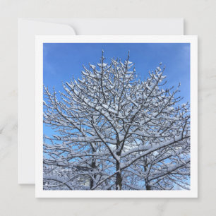 Schneebaum - Personalisierte Karte