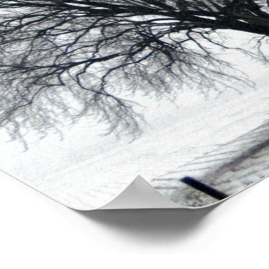 Schneebaum Poster (Ecke)