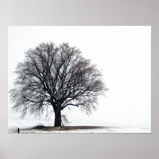 Schneebaum Poster (Vorne)