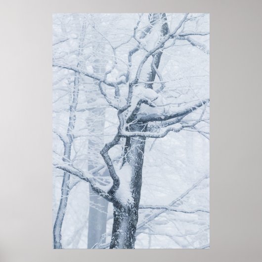 Schneebaum Poster (Vorne)