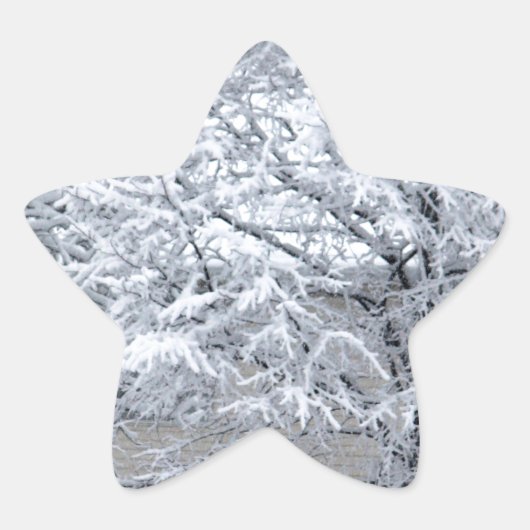 Schneebaum Stern-Aufkleber (Vorderseite)