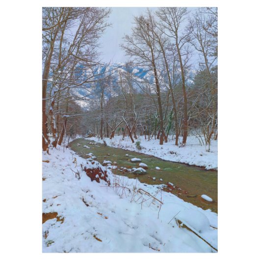 Schneebaume, Creek Forest Mountain Winterlandschaf Tischdecke (Vorderseite)