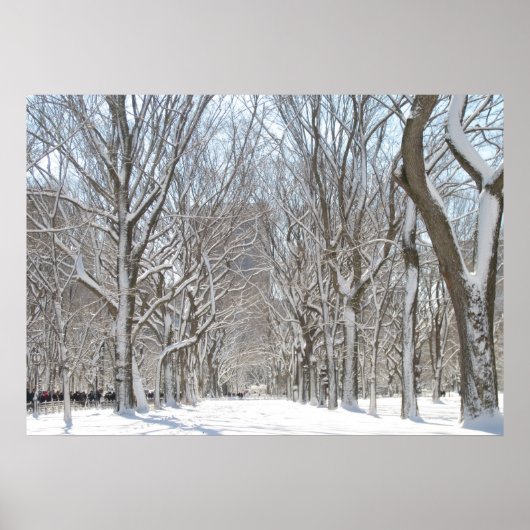 Schneebäume im Central Park Poster (Vorne)
