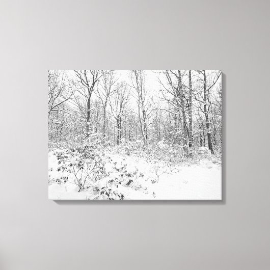 Schneebaume im Poconos Leinwanddruck (Vorderseite)