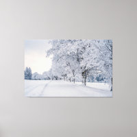 Schneebäume im Winter