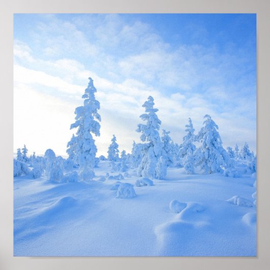 Schneebäume in Lappland in Finnland Poster (Vorne)