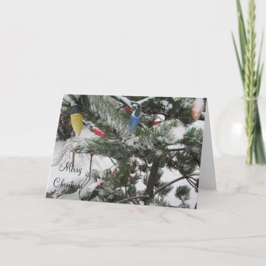 Schneebaume mit Weihnachtsbeleuchtung Feiertagskarte (Vorderseite)