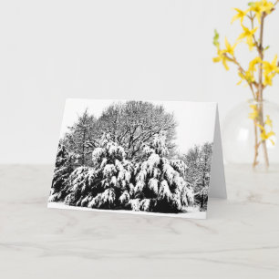Schneebäume Natur Winter Szene Kunst Notizkarte Karte