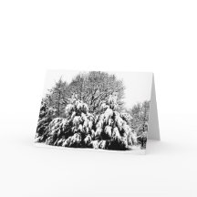 Schneebäume Natur Winter Szene Kunst Notizkarte