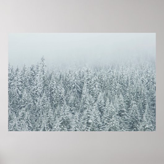 SCHNEEBÄUME POSTER (Vorne)