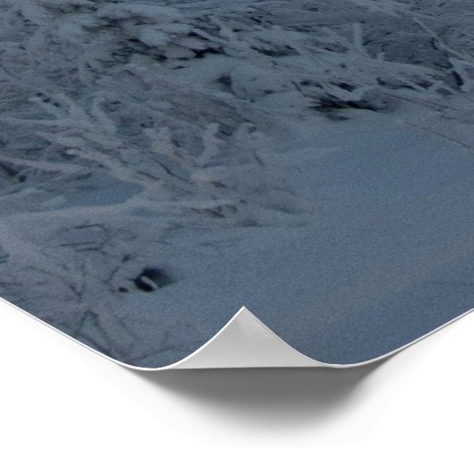 Schneebäume Poster (Ecke)