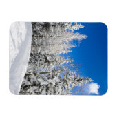 Schneebäume unter einem klaren, blauen vertikalen magnet (Horizontal)