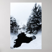 Schneebecken und Bäume verschwinden im Nebel Poster (Vorne)