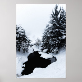 Schneebecken und Bäume verschwinden im Nebel Poster