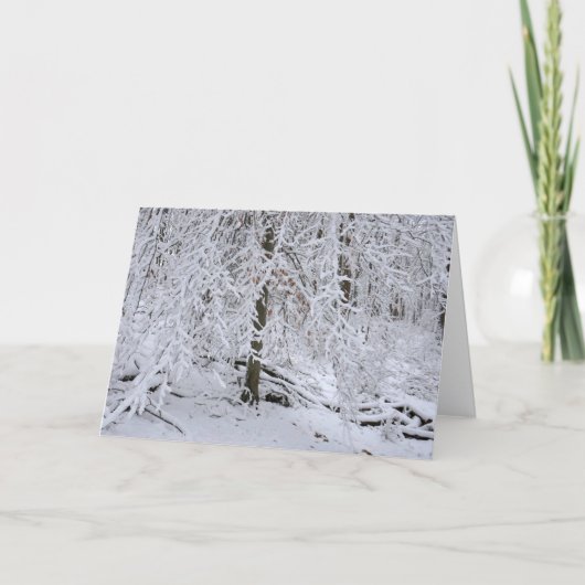 Schneebedachung aus Birken Karte (Vorderseite)