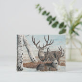 Schneebedecke Postkarte (Stehend Vorderseite)