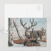 Schneebedecke Postkarte (Vorne/Hinten)