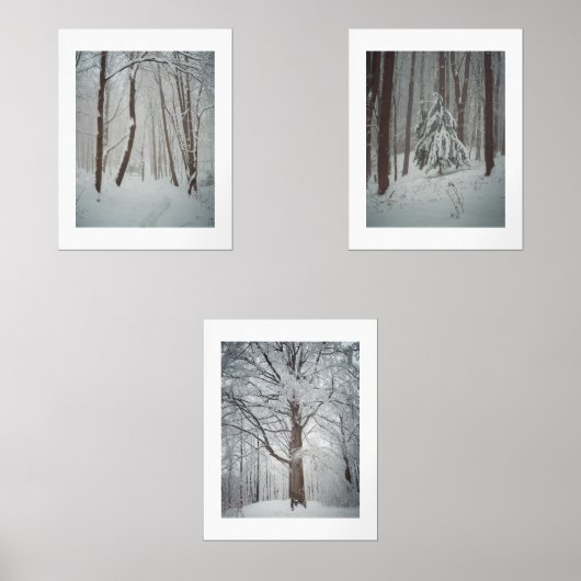 Schneebedeckte Bäume im scheußlichen Winterwald Bilderwand Sets (Vorderseite)