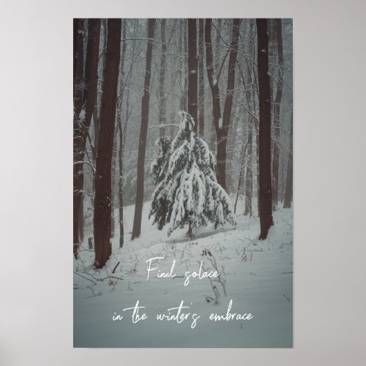 Schneebedeckte Bäume im scheußlichen Winterwald Poster (Vorne)