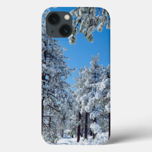 Schneebedeckte Bäume in den Laguna Mountains Case-Mate iPhone Hülle