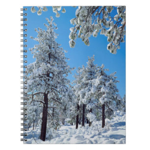 Schneebedeckte Bäume in den Laguna Mountains Notizblock