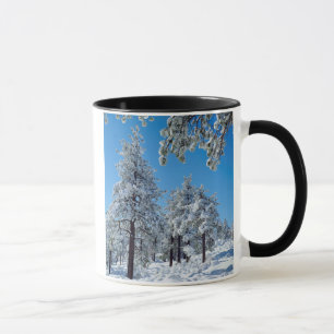 Schneebedeckte Bäume in den Laguna Mountains Tasse