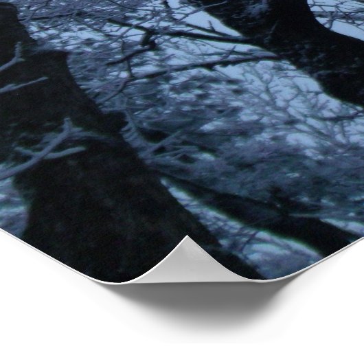 Schneebedeckte Bäume Poster (Ecke)