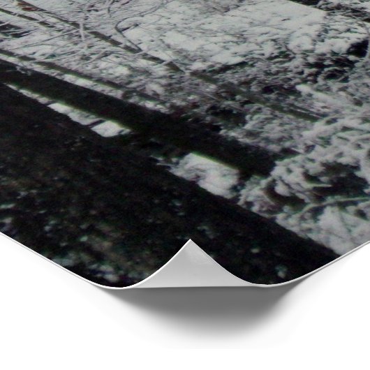 Schneebedeckte Bäume Poster (Ecke)