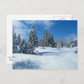 Schneebedeckte Bäume, Winterlandschaft Postkarte (Vorne/Hinten)