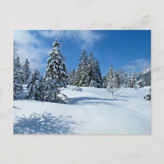 Schneebedeckte Bäume, Winterlandschaft Postkarte (Vorderseite)