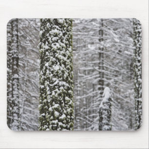 Schneebedeckte Baumstämme im Yosemite-Tal - Mousepad