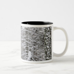 Schneebedeckte Baumstämme im Yosemite-Tal - Zweifarbige Tasse