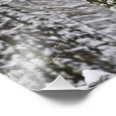 Schneebedeckte Baumstämme im Yosemittal - Fotodruck (Ecke)