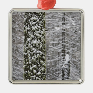 Schneebedeckte Baumstämme im Yosemittal - Silbernes Ornament