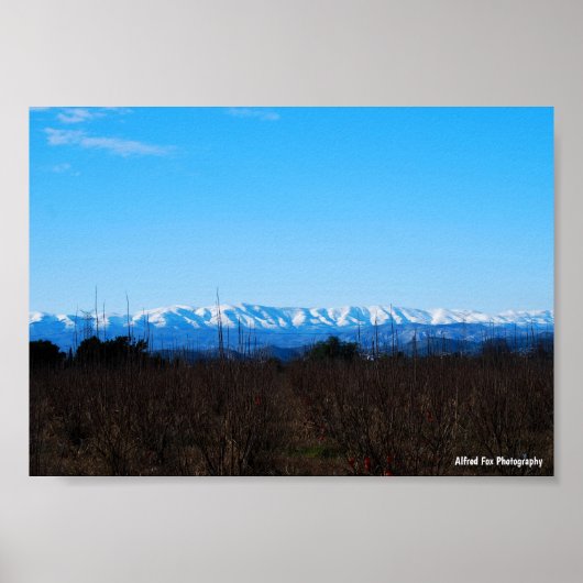 Schneebedeckte Berge hinter Persimmonfeld Poster (Vorne)