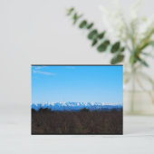 Schneebedeckte Berge hinter Persimmonfeld Postkarte (Stehend Vorderseite)