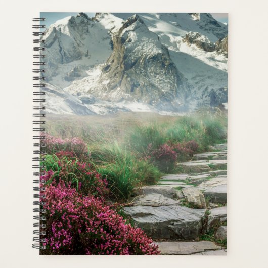 Schneebedeckte Berge Planer (Vorderseite)