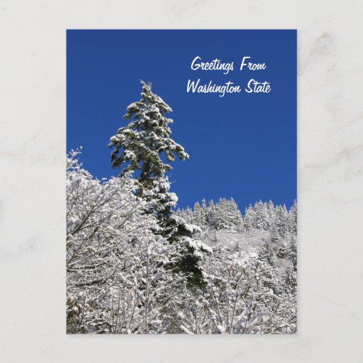 Schneebedeckte Bergreetings aus Washington Postkarte (Vorderseite)