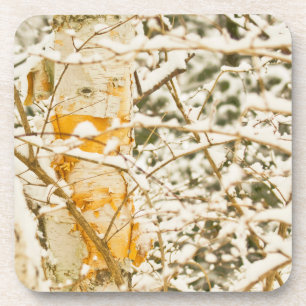 Schneebedeckte Birke Untersetzer
