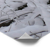 Schneebedeckte Birkenbaumkrone Poster (Ecke)