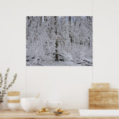 Schneebedeckte Birkenbaumkrone Poster (Küche)