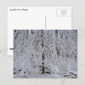 Schneebedeckte Birkenbaumkrone Postkarte (Vorne/Hinten)