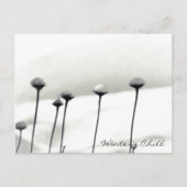 Schneebedeckte Blume Postkarte (Vorderseite)