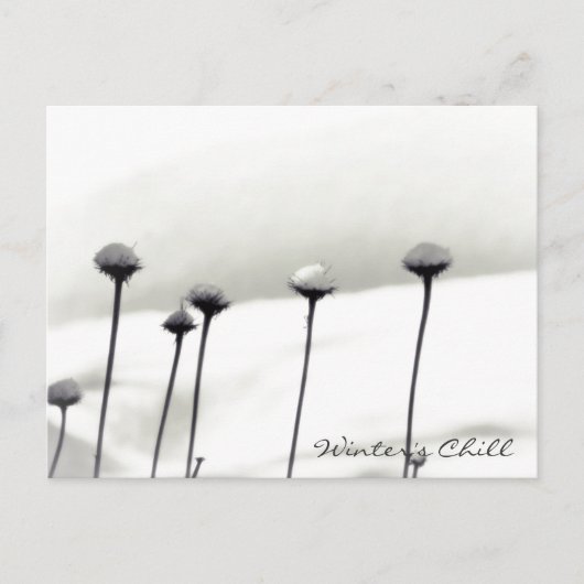 Schneebedeckte Blume Postkarte (Vorderseite)