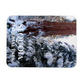 Schneebedeckte Boughs Winter Sequoia Nationalpark Magnet (Horizontal)