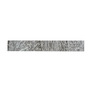 Schneebedeckte Branchen Winter Abstrakt