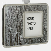 Schneebedeckte Branchen Winter Abstrakt Rahmen-Ornament Silber (Rechts)