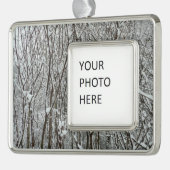 Schneebedeckte Branchen Winter Abstrakt Rahmen-Ornament Silber (Links)