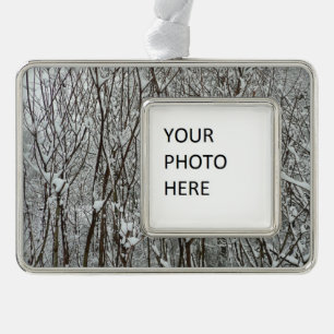 Schneebedeckte Branchen Winter Abstrakt Rahmen-Ornament Silber