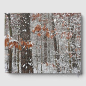 Schneebedeckte Eichenbäume Winternaturfotografie Gästebuch (Rückseite)